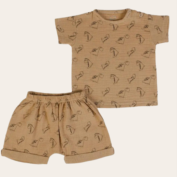 Ensemble Jules